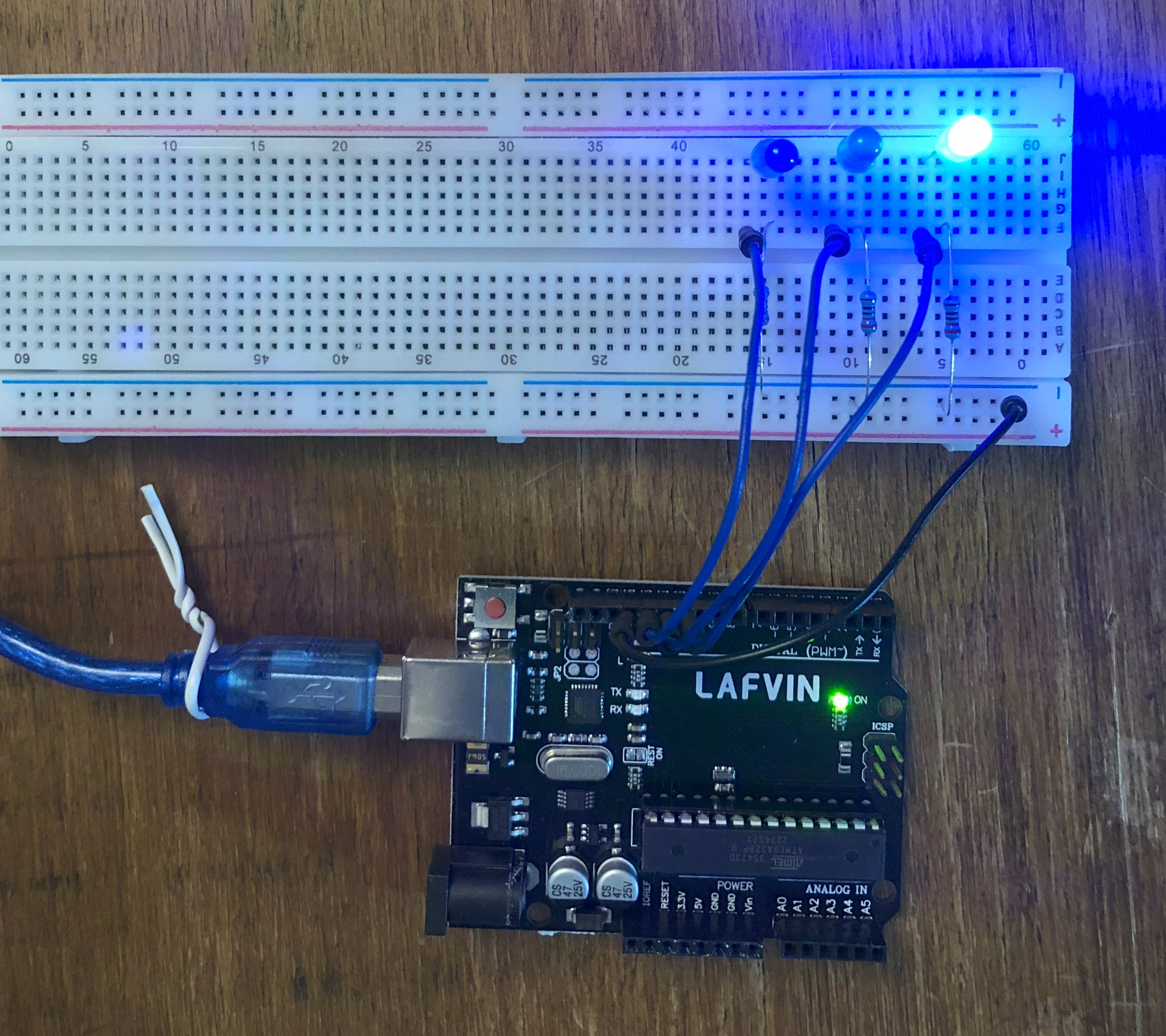 LEDs en funcionamiento